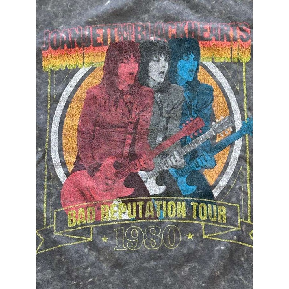 Joan Jett and the Blackhearts Bad Reputation Tour 1980 Gray Mineral Wash Shirt L